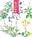 花の中にいる、しあわせ。 水彩で描く野の花画集／外山康雄【3000円以上送料無料】