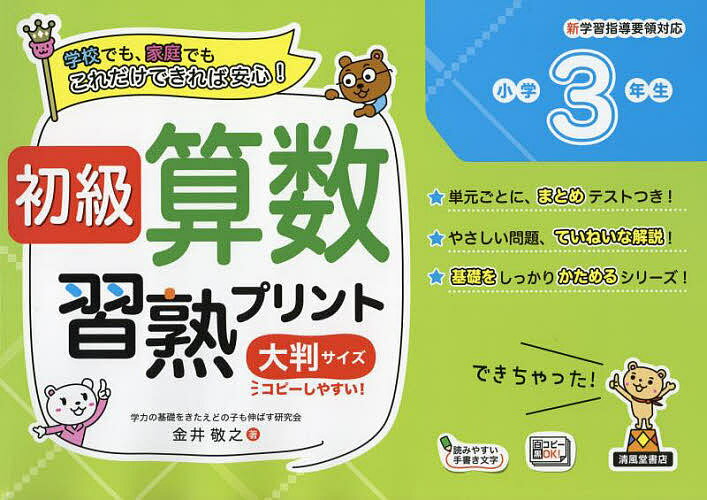 初級算数習熟プリント小学3年生 大判サイズ／金井敬之【3000円以上送料無料】