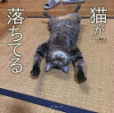 猫が落ちてる/にゃんこ編集部【3000円以上送料無料】