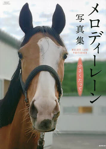 競馬王のPOG本 2024-2025／競馬王編集部【1000円以上送料無料】