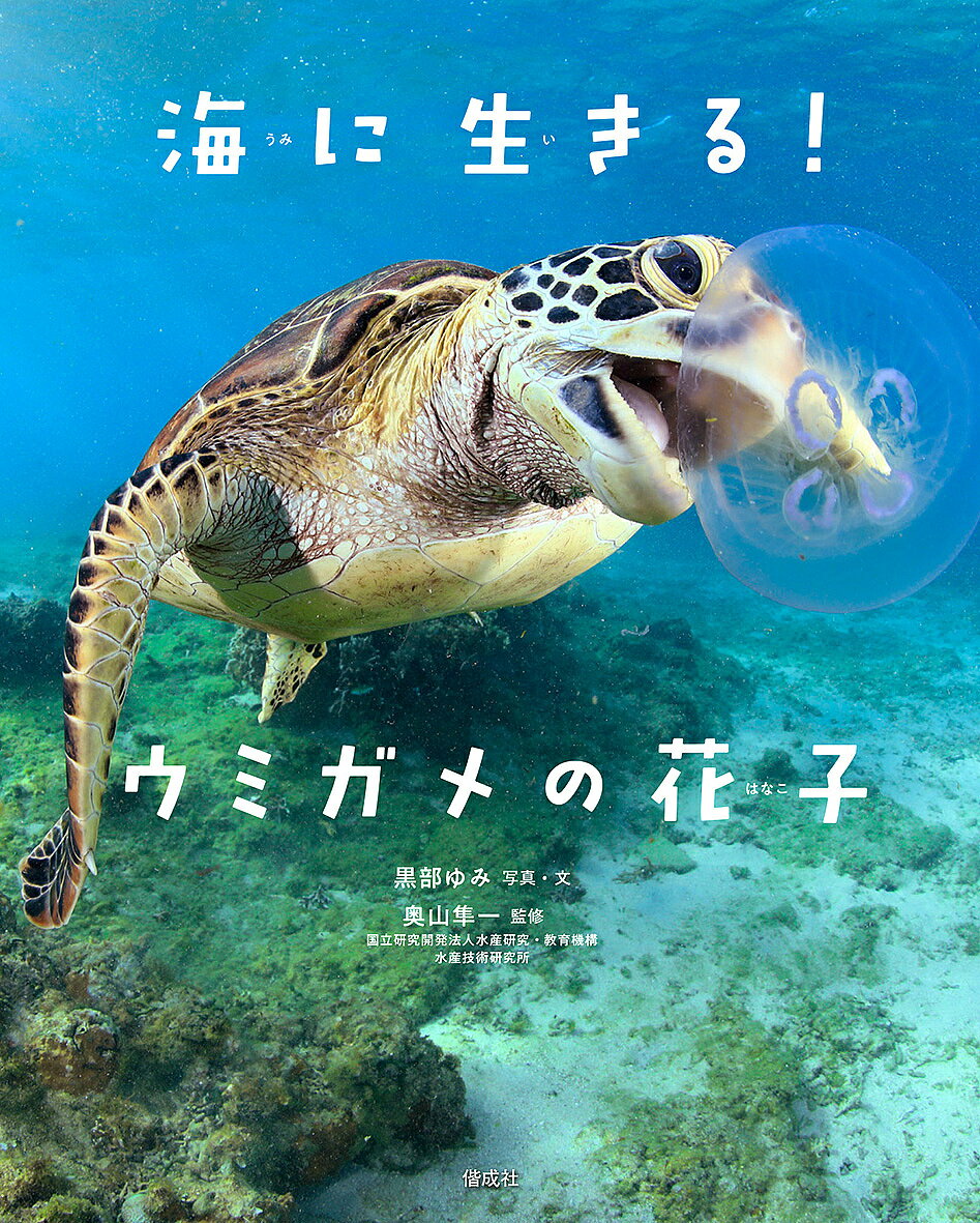 海に生きる!ウミガメの花子／黒部ゆみ／・文奥山隼一／子供／絵本【3000円以上送料無料】