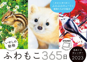 ’23ふわもこ365日日めくりカレンダー【3000円以上送料無料】