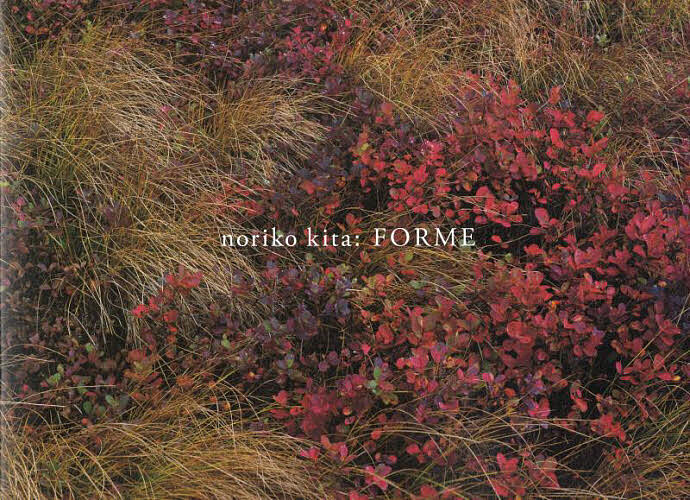 FORME ��¿���ҡ���¿���ҡ�3000�߰ʾ�����̵����