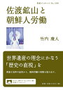 佐渡鉱山と朝鮮人労働/竹内康人【3000円以上送料無料】