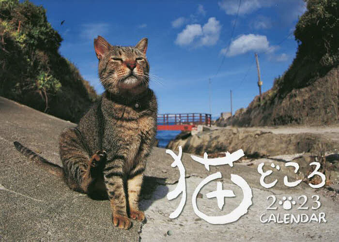 【3千円以上送料無料】’23 猫どころカレンダー／尾崎修二