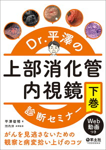 Dr.平澤の上部消化管内視鏡診断セミナー がんを見逃さないための観察と病変拾い上げのコツ 下巻/平澤俊明【3000円以上送料無料】
