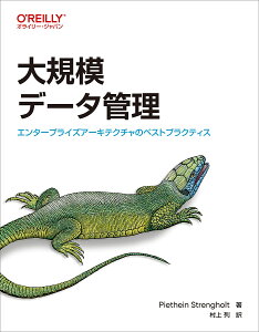 大規模データ管理 エンタープライズアーキテクチャのベストプラクティス／PietheinStrengholt／村上列【3000円以上送料無料】