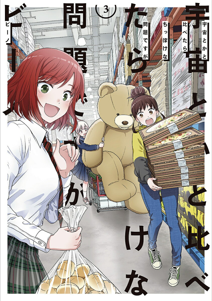 宇宙とかと比べたらちっぽけな問題ですが 3／ビーノ【3000円以上送料無料】