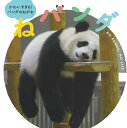 ねパンダ かわいすぎる!パンダのねがお NO PANDA,NO LIFE/主婦の友社【3000円以上送料無料】