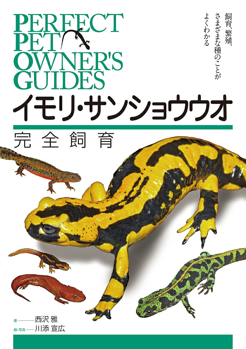 著者西沢雅(著) 川添宣広(編)出版社誠文堂新光社発売日2022年12月ISBN9784416622025ページ数255Pキーワードペット いもりさんしよううおかんぜんしいく イモリサンシヨウウオカンゼンシイク にしざわ まさし かわぞえ の ニシザワ マサシ カワゾエ ノ9784416622025内容紹介イモリとサンショウウオはともに両生類の仲間で、分類的には有尾目のイモリ科とサンショウウオ科に分類されている。生態が似ているので、どちらも比較的同様のスタイルで飼育でき、飼育者の属性が似ているので完全飼育シリーズで1冊にまとめる。その中で、人気があるウーパールーパーは、両生綱有尾目トラフサンショウウオ科トラフサンショウウオ属に分類される、幼形成熟個体。最近では日本のエゾサンショウウオの幼形成熟個体が何十年かぶりに発見され、多くのメディアで取り上げられ話題となった。また、熱帯魚ショップでよく売られているアカハライモリは有尾目イモリ科イモリ属に分類される両生類で飼育者が多い。同書は、ウーパールーパーやアカハライモリのような一般的な両生類を導入とし、近年、種が多いことで人気のイボイモリやファイアサラマンダーなど1匹1万円を超える種類を好むマニアックな両生類愛好家も増え、彼らが同書のコアターゲットとなる。その他、シリケンイモリ、ムハンフトイモリ、シナイモリ、メキシコサラマンダー、オビタイガーサラマンダー、アシナシイモリなどの飼育者が多い近似種の飼育・繁殖方法についてもタイプ別に解説する。なお、このグループにはヒョウモントカゲモドキのような品種は少ないが、ロカリティ（地域個体群）や亜種が数多く含まれるものも多い。似て非なる彼らの詳細をたくさんの写真と解説を添えて紹介し、資料的価値を高めるとともに本書の特色の大きな1つとなる。■目次Chapter1 有尾類とはChapter2 有尾類の飼育Chapter3 給餌とメンテナンスChapter4 有尾類の繁殖Chapter5 有尾類図鑑 イモリ編Chapter6 有尾類図鑑 サラマンダー・その他編Chapter7 有尾類図鑑 付録 アシナシイモリ編Chapter8 有尾類飼育のQ＆A**********************************※本データはこの商品が発売された時点の情報です。目次1 有尾類とは/2 有尾類の飼育/3 給餌とメンテナンス/4 有尾類の繁殖/5 有尾類図鑑 イモリ編/6 有尾類図鑑 サラマンダー・その他編/7 有尾類図鑑付録 アシナシイモリ編/8 有尾類飼育のQ＆A