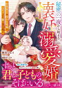 秘密の一夜から始まる懐妊溺愛婚 財界策士は囚われ花嫁をベビーごと愛で包み抱く/伊月ジュイ【3000円以上送料無料】