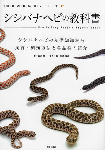 著者西沢雅(著) 川添宣広(写真)出版社笠倉出版社発売日2023年01月ISBN9784773061420ページ数127Pキーワードペット ししばなへびのきようかしよししばなへびのきそちしき シシバナヘビノキヨウカシヨシシバナヘビノキソチシキ にしざわ まさし かわぞえ の ニシザワ マサシ カワゾエ ノ9784773061420内容紹介今回の主役は、唯一無二の癒し系「セイブシシバナヘビ」ペットスネークの中でもその独特の容姿と、スローな動きで"癒し系ヘビ"と注目されているセイブシシバナヘビの魅力に迫ります。初心者の方でも十分に楽しめるよう、飼育するための基礎知識等をわかりやすく解説。またカラーバリエーションも豊富なので、合わせて掲載するモルフカタログでお好みのモルフを探してみてください。chapter 1:セイブシシバナヘビの基礎知識はじめに飼育の魅力と楽しみかた生息している地域の気候について生態や生活史身体毒についてchapter 2:迎え入れから飼育セッティング迎え入れと個体選び飼育ケージの準備保温器具の選びかたと設置chapter 3:日常の世話餌の種類と給餌間隔マウスの解凍方法人工飼料の話給餌方法と餌を食べない場合の対処いろいろメンテナンス健康チェックなど餌付けについてchapter 4:繁殖繁殖させる前の心構え雌雄判別性成熟についてペアリング（交配）と産卵卵の管理孵化温度と性別の関係孵化直後の幼体の管理と餌付けchapter 5:シシバナヘビ図鑑【シングルモルフ】ノーマル・クラシック・WCグリーン・レッド・イエローアルビノピンクパステルアルビノアザンティックアナコンダアークティックタフィーエヴァンスハイポキャラメル（キャラメルアルビノ）セーブルラベンダーリューシスティックピスタチオレモンゴーストセイブシシバナヘビの近縁種【コンボモルフ】コンボモルフの作出chapter 6:シシバナヘビのQ&A※本データはこの商品が発売された時点の情報です。目次1 セイブシシバナヘビの基礎知識/2 迎え入れから飼育セッティング/3 日常の世話/4 繁殖/5 シシバナヘビ図鑑/6 シシバナヘビのQ＆A