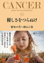 優しさをつらぬけ 蟹座の君へ贈る言葉/鏡リュウジ【3000円以上送料無料】