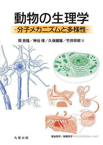 動物の生理学 分子メカニズムと多様性／岡良隆／神谷律／久保健雄【3000円以上送料無料】