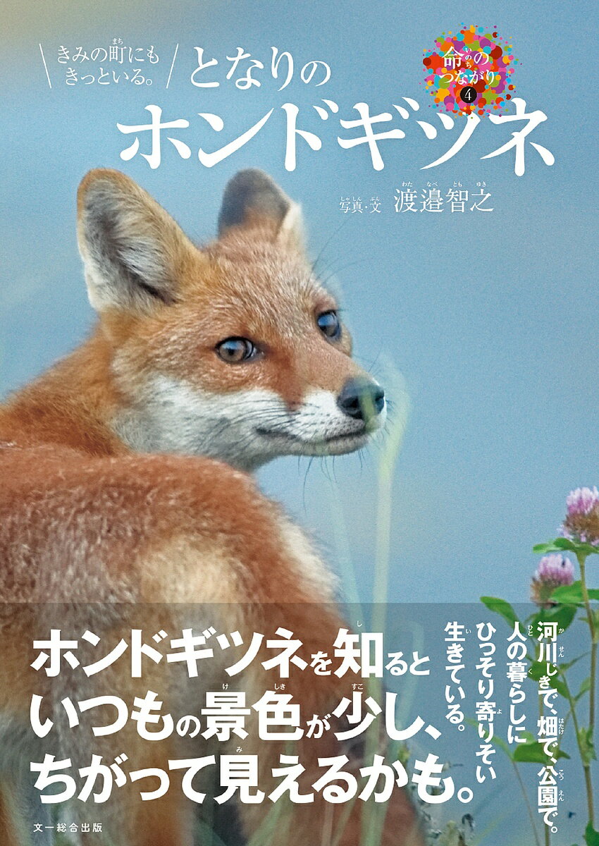 となりのホンドギツネ きみの町にもきっといる。／渡邉智之／子