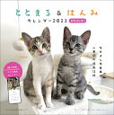 出版社小学館クリエイティブ発売日2023年02月ISBN9784778035877キーワード2023ととまるあんどはんみかれんだー4がつ 2023トトマルアンドハンミカレンダー4ガツ ととまる はんみ ぱぱ トトマル ハンミ パパ9784778035877内容紹介SNSで話題の兄妹猫、待望のカレンダー！ YouTube動画総再生数1200万回超え、Twitterフォロワー数9万人と大人気の兄妹猫「ととまるはんみ」初のカレンダー。お魚と飼い主の指が大好きな「ととまる」、甘えん坊で食いしん坊の美猫「はんみ」。2匹は漁港で保護され、釣った魚を料理するのが趣味の飼い主さんに引き取られました。仲よし兄妹2匹が子猫から成猫に成長する過程を1年間楽しめる、猫好き必見の内容になっています。壁掛け大判サイズ（257×257mm）の月間カレンダー（12か月分）です。QRコードから、スマホの壁紙にぴったりのカレンダー12か月分をダウンロードできる特典付き！※本データはこの商品が発売された時点の情報です。