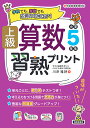 上級算数習熟プリント小学5年生 学校でも、家庭でも応用力を伸ばす!/川岸雅詩【3000円以上送料無料】