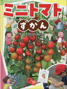 ミニトマトずかん／藤田智【3000円以上送料無料】