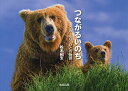 つながるいのち うみ・もり・ひとの物語/松本紀生/子供/絵本【3000円以上送料無料】