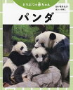 パンダ【3000円以上送料無料】
