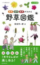 野草図鑑 食草・薬草・毒草がわかる／金田洋一郎／根本幸夫【3000円以上送料無料】