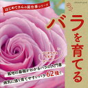 バラを育てる【3000円以上送料無料】