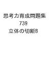 思考力育成問題集 739 立体の切断B【3000円以上送料無料】