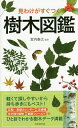 見わけがすぐつく樹木図鑑/宮内泰之【3000円以上送料無料】