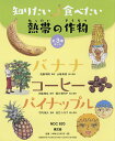 知りたい食べたい熱帯の作物 3巻セット/佐藤靖明【3000円以上送料無料】