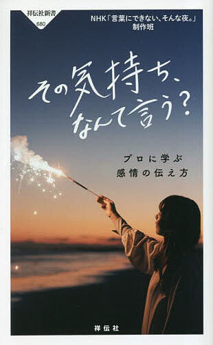 その気持ち、なんて言う? プロに学ぶ感情の伝え方／NHK「言葉にできない、そんな夜。」制作班【3000円以上送料無料】