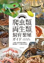 爬虫類・両生類の飼育・繁殖ガイド 人気種から愛好家垂涎の種類まで、国内繁殖データと飼育方法を紹介/栗下光幸/川添宣広【3000円以上送料無料】
