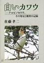 白いカワウ アルビノカワウ、その発見と観察の記録/佐藤孝二【3000円以上送料無料】