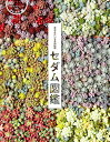 セダム図鑑 宝石みたいな多肉植物/多肉スタイリング協会【3000円以上送料無料】