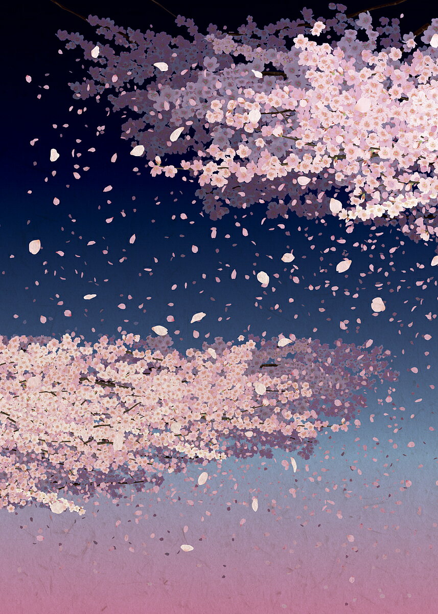 【3千円以上送料無料】開運御朱印帳 夜桜(大判)／旅行