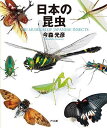 日本の昆虫 THE MUSEUM OF JAPANESE INSECTS/今森光彦/田中良尚【3000円以上送料無料】