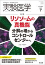 実験医学 Vol.41No.11(2023-7)【3000円以上送料無料】