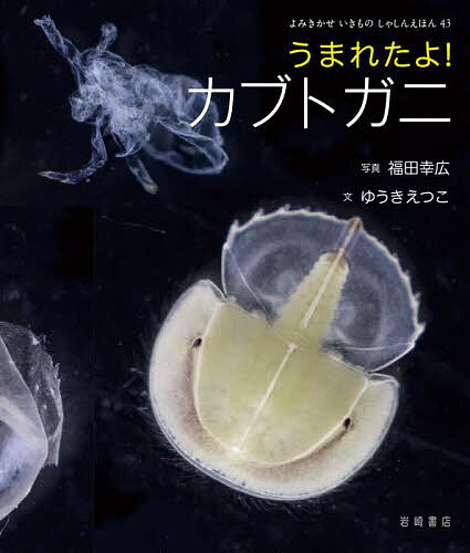 うまれたよ!カブトガニ／福田幸広／ゆうきえつこ【3000円以上送料無料】