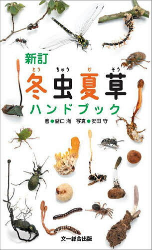 著者盛口満(著) 安田守(写真)出版社文一総合出版発売日2023年06月ISBN9784829981771ページ数160Pキーワードとうちゆうかそうはんどぶつく トウチユウカソウハンドブツク もりぐち みつる やすだ まも モリグチ ミツル ヤスダ マモ9784829981771内容紹介冬虫夏草の探し方はもちろん、不思議なビジュアルも楽しめる！昆虫やクモからキノコを生やす不思議な菌類、冬虫夏草。最近は、地下にキノコをつくる菌類や、植物の種子に寄生する菌も発見されています。本書は国内で確認されている冬虫夏草のうち133 種類を掲載し、最新の分類に対応。野外での携行性はそのままに、総ページ数と掲載種数を旧版のほぼ倍と大幅に増やした新訂版です。***********************虫から生える摩訶不思議なキノコ。いにしえの人々は、これを季節によって虫と草の両方に変身できる不思議な生物と考え、冬虫夏草と名付けました。その正体は、昆虫やクモなどの宿主にとりついてキノコを生やす菌類。近年の研究で、地下にキノコをつくる菌類や変形菌、植物の種子に寄生する菌も発見されています。これからはじめたいという入門者から、すでに各地で掘っている中上級者まで、実用的で楽しいハンディ図鑑。【本書の特長】◎国内で確認されている冬虫夏草のうち133 種類を掲載し、最新の分類に対応。◎野外で持ち歩いて使える携行性は維持したまま、掲載種数を旧版のほぼ倍と大幅に増量。◎野外で探すときのヒントになるよう、掲載種を「地生型」「気生型」「朽木生型」の3つの発生型、さらに宿主が特殊な「菌生型」の4つに分けている。◎冬虫夏草が地中でどのように生えているかを示す断面写真と、形態がわかりやすい白背景写真を豊富に掲載。種類を調べるだけでなく、多様で摩訶不思議なビジュアルを楽しむこともできる。◎また巻頭には原寸大の白背景写真インデックスを設け、各種のサイズ感をつかみやすくなる工夫を凝らした。季節、探し方、便利な道具類など冬虫夏草探しに役立つ情報を満載。【 目次 】・冬虫夏草ってなに？・冬虫夏草って身近なもの？・冬虫夏草を探してみよう・日本は冬虫夏草列島・冬虫夏草もどき・冬虫夏草の2型・本書の使い方・冬虫夏草ホントの大きさIndex・冬虫夏草図鑑 地生型 気生型 朽木生型 菌生型・冬虫夏草を掘り取ってみよう・冬虫夏草を記録しよう・冬虫夏草のおおまかな分類・用語解説※本データはこの商品が発売された時点の情報です。目次冬虫夏草ってなに？/冬虫夏草って身近なもの？/冬虫夏草を探してみよう/日本は冬虫夏草列島/冬虫夏草もどき/冬虫夏草の2型/本書の使い方/冬虫夏草ホントの大きさIndex/冬虫夏草図鑑（地生型/気生型/朽木生型/菌生型）/冬虫夏草を掘り取ってみよう/冬虫夏草を記録しよう/冬虫夏草の大まかな分類/用語解説/索引/参考文献・資料