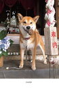 お寺のハナちゃん/梶井照陰【3000円以上送料無料】