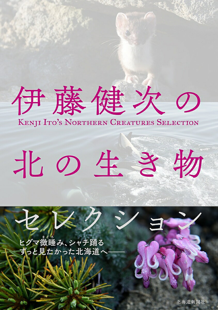 著者伊藤健次(著)出版社北海道新聞社発売日2023年09月ISBN9784867211069ページ数191Pキーワードいとうけんじのきたのいきものせれくしよん イトウケンジノキタノイキモノセレクシヨン いとう けんじ イトウ ケンジ9784867211069内容紹介ヒグマ、エゾシカ、シャチなどの動物41種と貴重な植物21種。北海道の原風景が残る極東ロシアの取材も交え、自然写真家の著者ならではの視点で知られざる野生の営みに迫る。北海道新聞連載「伊藤健次の 大地の息吹 海のささやき」の単行本化。※本データはこの商品が発売された時点の情報です。目次Animals（ヒグマ/エゾシカ/エゾユキウサギ ほか）/Origin（ロシア極東へ—北海道の原風景を探す旅）/Botany（フクジュソウ/ミズバショウ/エゾノコリンゴ ほか）