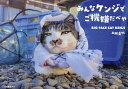 みんなケンジでご機嫌だべや BIG FACE CAT KENJI/土肥美帆【3000円以上送料無料】
