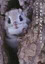 エゾモモンガちゃんの日々 ぼくたちの森と空/小原玲/堀田あけみ【3000円以上送料無料】