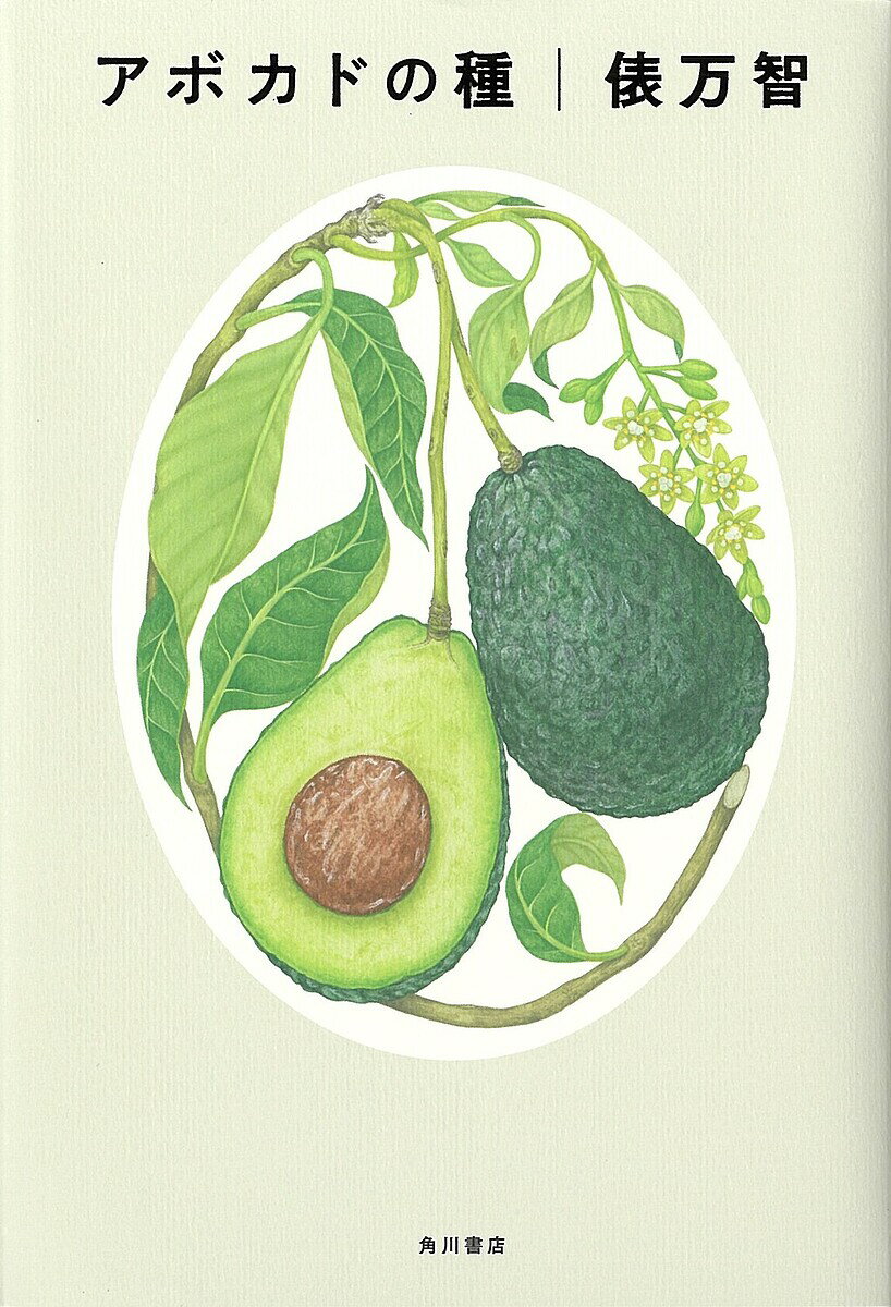 アボカドの種／俵万智【3000円以上送料無料】