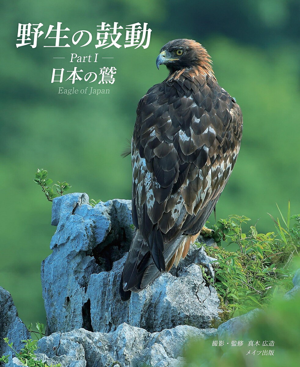 ＜6/25 全品20倍 要エントリー＞野生の鼓動 Part1／真木広造