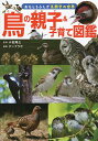 鳥の親子&子育て図鑑/小宮輝之/ポンプラボ【3000円以上送料無料】