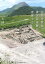 雲仙普賢岳被災民家跡を発掘する/大浦一志【3000円以上送料無料】 3,850円