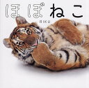 ほぼねこ ネコ科の猛獣たちのネコみたいな写真集/RIKU【3000円以上送料無料】