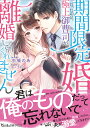 期間限定婚だったのに極上御曹司が離婚してくれません/水城のあ【3000円以上送料無料】