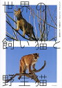 世界の飼い猫と野生猫/ジュリアナ・フォトプロス/沢田陽子/今泉忠明【3000円以上送料無料】