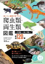 飼いたい種類が見つかる爬虫類・両生類図鑑 人気種から希少種まで厳選120種/有馬【3000円以上送料無料】